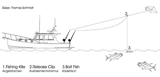 Fishing Equipment and Methods Bluefin Tuna