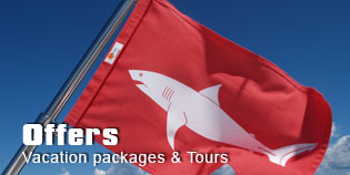 Fishing Tours